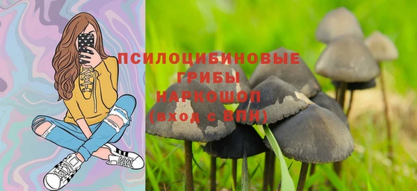 метамфетамин Болотное